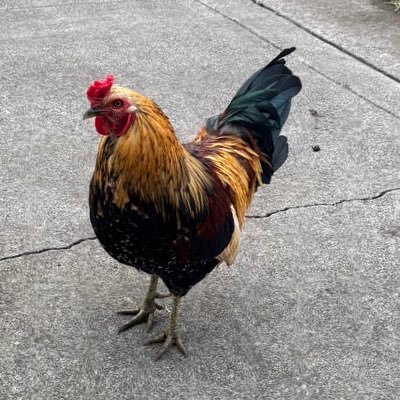 Lunker35's profile picture. Finance, Northwestern Baseball Alumni, Paddle Tennis, Twin Dad