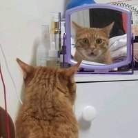 tirramiss_you (@de_ppss) 's Twitter Profile