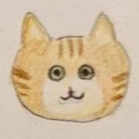 Savo (@middlehub365) 's Twitter Profile Photo Savo (@middlehub365) 's Twitter Profile Photo