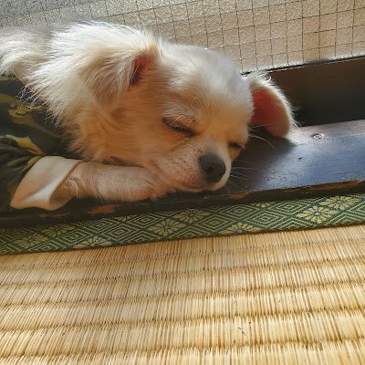 zzqNLf7odW73971's profile picture. 埼玉と三重の定期便しております☆