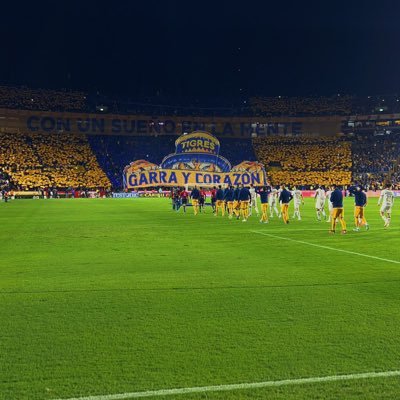 💣 ll💛💙🐯|| 🖤🩷✨ll Me gusta la música, tomar fotos y el futbol ✨