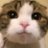 shungiku_umai
