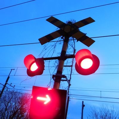 タカタカ (@qx0rHrxM3M14928) / Posts / X