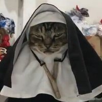 Harry Rothschild (@damnrothschild) 's Twitter Profile Photo Harry Rothschild (@damnrothschild) 's Twitter Profile Photo