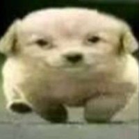 Spooko (@spookowooko) 's Twitter Profile Photo Spooko (@spookowooko) 's Twitter Profile Photo