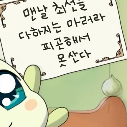 행복한 동물친구들보고 화를 가라앉히기위해 만든계정입니다. 그냥 인생이 힘든 화많은 사람의 찐구독용이라 팔신은 받지 않습니다. 알러지때문에 입양도 못하고 걍 보기만합니다... 선생님들덕에 오늘도 덜울고 덜화내고 삽니다. 적게일하시고 많이버세요. #사지마세요_입양하세요