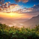 Lynn Partridge - @AnnafvDora40674 - Twitter