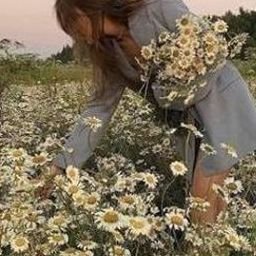 Seshurs5kkRh's profile picture. 