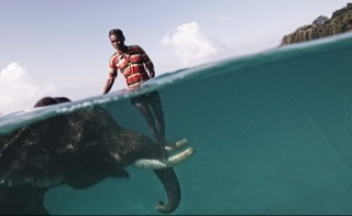 moonofafrica's profile picture. Quiero soñar contigo