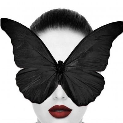 HalinaHali17596's profile picture. 🇵🇱 🇪🇺
Always look on the bright 
side of life.

Lubię czarny humor, zwierzęta i książki.