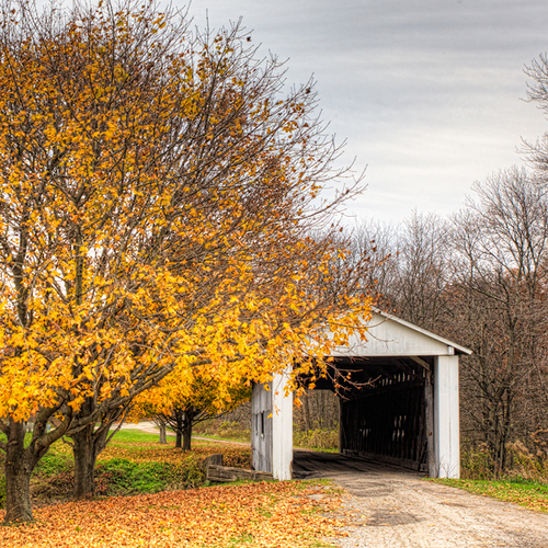 A destination for Covered Bridge lovers. Their history, news and especially some images!
Our Facebook Page: http://t.co/VESzB6vPS8