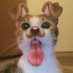 shasha in priv (@unforrgettwble1) Twitter profile photo shasha in priv (@unforrgettwble1) Twitter profile photo