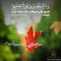سیده زینب (@sydhzynb3225) 's Twitter Profile