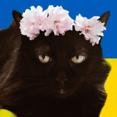 proud plant mama | акаунт для ретвітів та спілкування | блог з рослинками в блюскаї