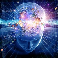 بث 📤 نؤن كؤد خصم (@briangolde6819) 's Twitter Profile Photo بث 📤 نؤن كؤد خصم (@briangolde6819) 's Twitter Profile Photo