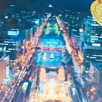 ぴにょむら (@tansan_shuwashu) Twitter profile photo