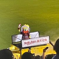 おかの° ͜ʖ° (@0k5moogoooooo51) 's Twitter Profile