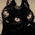 marc 🦇 (@morstenebrarum) Twitter profile photo marc 🦇 (@morstenebrarum) Twitter profile photo