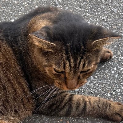 💩さんのプロフィール画像