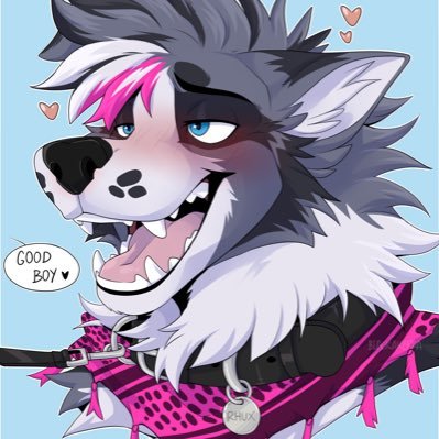 Rhux Collieさんのプロフィール画像