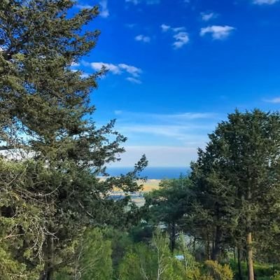 MahmutErkenek2's profile picture. Tutsak sevdamın gardiyanı geceler, tahliye umuduyla geçti senlere ..... tefsiri. hayat