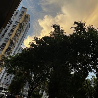 Snehasr74397051's profile picture. BL FAN!