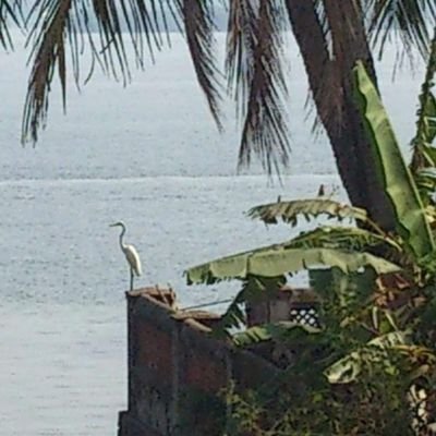 momiali422's profile picture. 