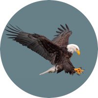 Anonymous Neighbors (@anonneighbors) Twitter profile photo