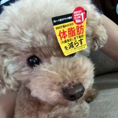 おばちゃんです。 三浦風雅くんシンガーソングライター応援📣しています。よろしくお願いします🤲ROWOON大好き😘