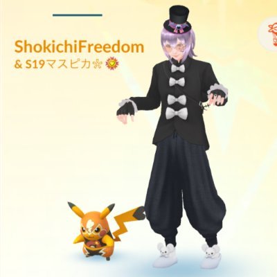 埼玉県でポケモンGO活動中。都内にも出没。GBLレジェンド8回達成。50歳超えたけど、まだまだ頑張る。