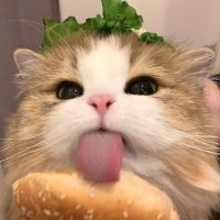 🎶🩶 (@xlll9o) 's Twitter Profile Photo