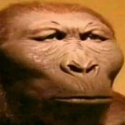 carequinh6's profile picture. 