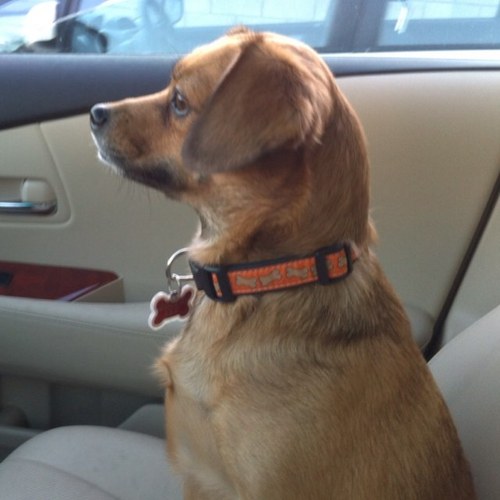 collinscleo's profile picture. 