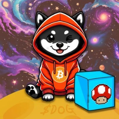 hwaiting123's profile picture. 