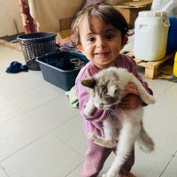 Aahed Alanqar (@aahednalanqar) 's Twitter Profile