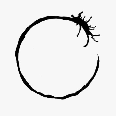 gonzalo12GG's profile picture. Biodiversity 🌎 Arsenal COYG 🔴 Alianza 💙