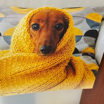 bitbulletoil's profile picture. 