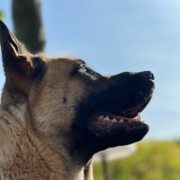 Hàidēs ℵ (@soycryptoshope) 's Twitter Profile