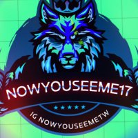 Nowyouseeme17 (@austansheldon) 's Twitter Profile