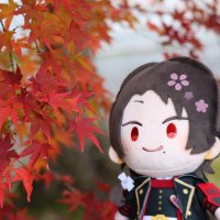 ささっきー@4/27.5/3写真集イベ (@kaguya1864) 's Twitter Profile