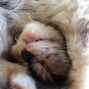 Kristina - @KrisBauer24 - Twitter