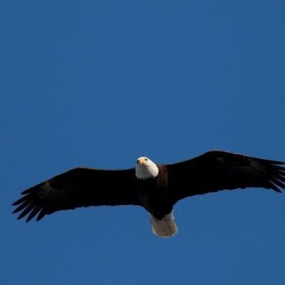 titanmogan's profile picture. 