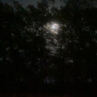 sky (@2021_free) 's Twitter Profile