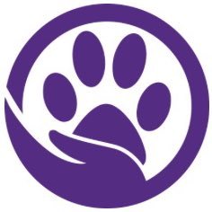 Professional R+ Dog Trainer Shauntay Shadrach PMCT2, FFCP-TB, CDBPE, CCPDT, APDT, IAABC, PPG, APC