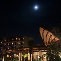 fatima (@fatimaalkhajah_) Twitter profile photo