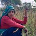 Nisha Meena (@nishameenar) Twitter profile photo Nisha Meena (@nishameenar) Twitter profile photo