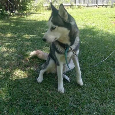 DonnaDark56's profile picture. 