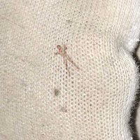 TinyTrxffy (@tinytrxffy) 's Twitter Profile