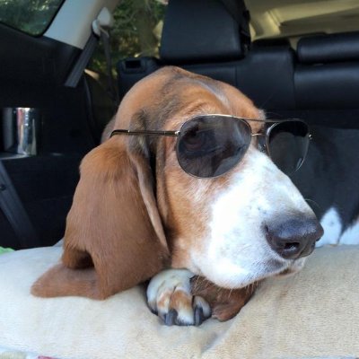 ijsdg2018's profile picture. I was lost, but now I'm found. Saved by His Grace. Jesus is the only way. Constitutional Conservative.  Concerned Citizen. Immigration expert. XRP XLM - No DMs!