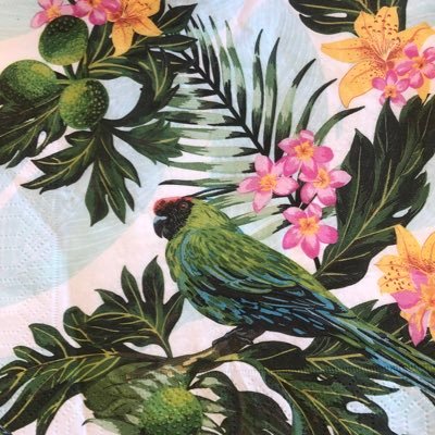 joyousjew's profile picture. 